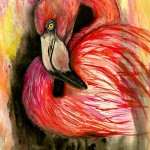 flamingo-aquarel-katerina-a-cechova