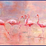 flamingos3