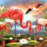 Flamingos by  Rosiland Solomon