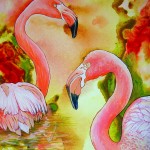 two-Flamingo